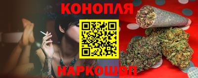 spice Гусев