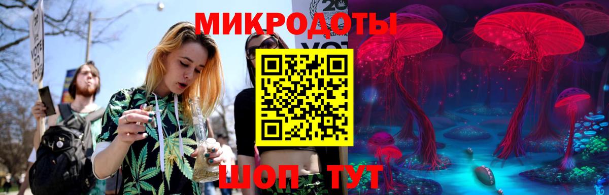 Кондопога  Галлюциногенные грибы MAGIC MUSHROOMS  Псилоцибиновые грибы прущие грибы  Вход с VPN 